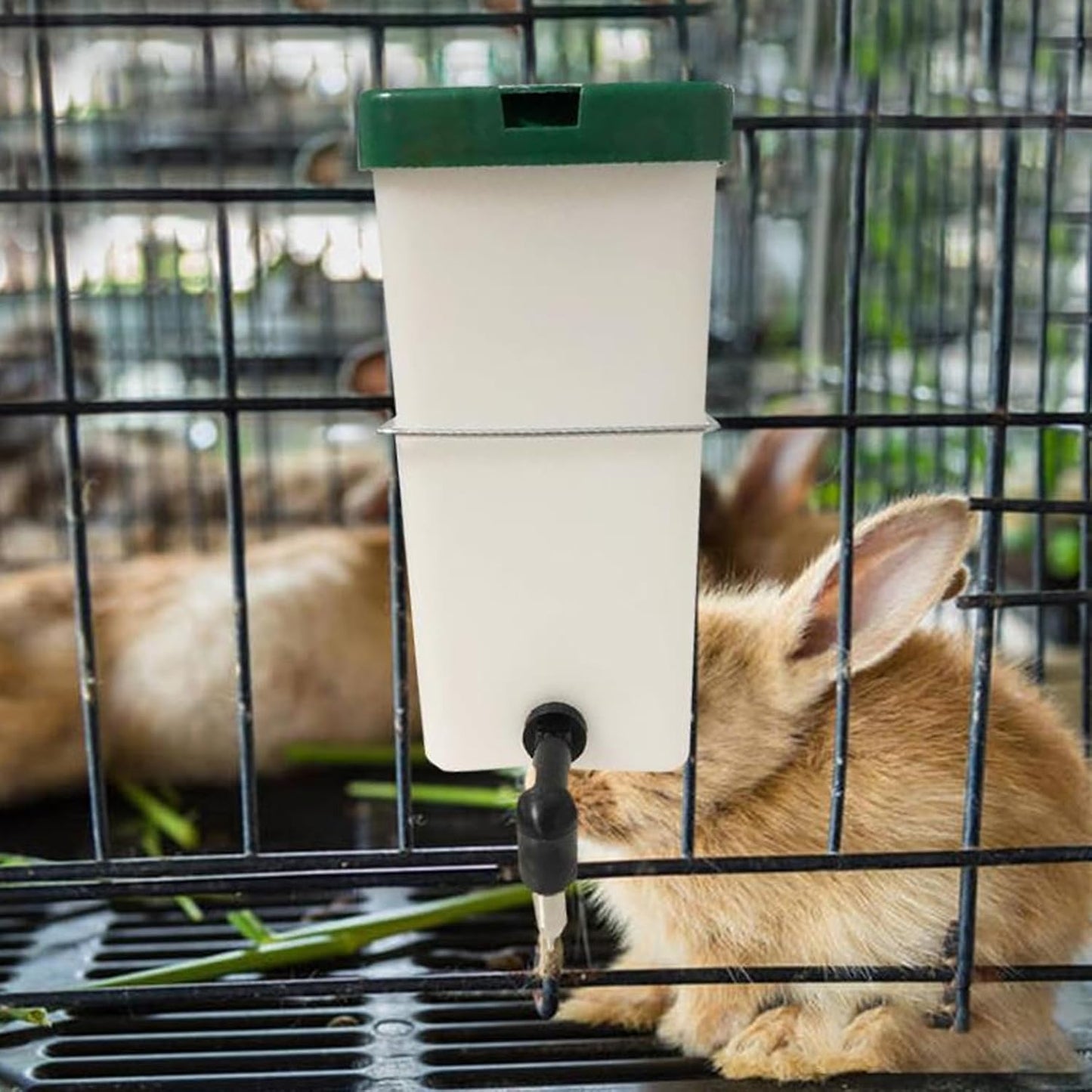 1 Set Heated Rabbit Water Bottle, 1L No Drip Heated Water Bottle for Rabbits, USB Powered Automatic Drinking Equipment for Hamster Guinea Pigs Birds Rabbit Bunny Dispenser