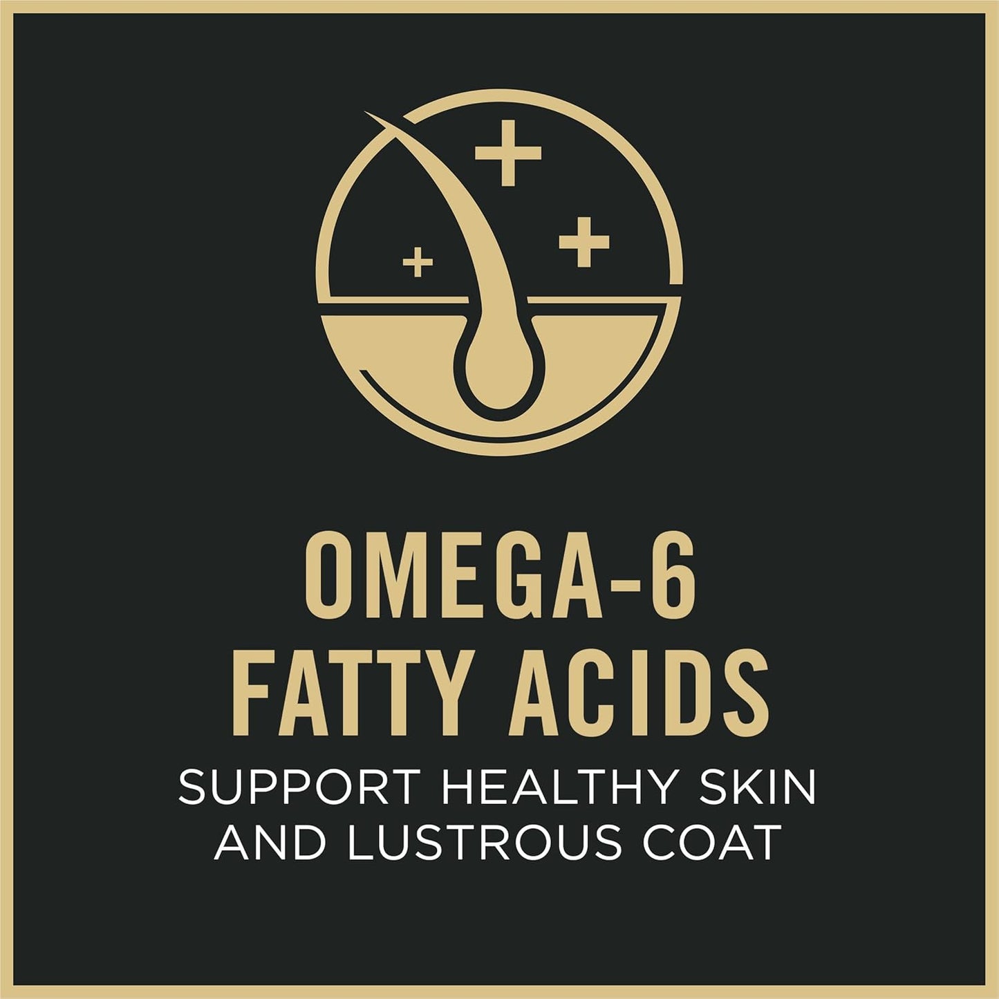 Purina Pro Plan Sensitive Skin and Stomach Salmon and Rice Formula Adult Dry Dog Food Bundle Sensitive Skin and Stomach Salmon and Rice Entree Adult Wet Dog Food