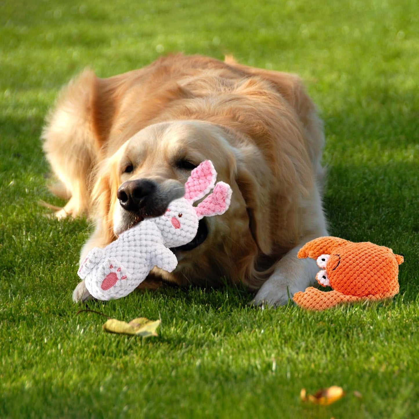 2 PCS Horse Chew Toy, Stuffed Plush Horse Toy, Dog Squeaky Toy Durable Pet Accessory