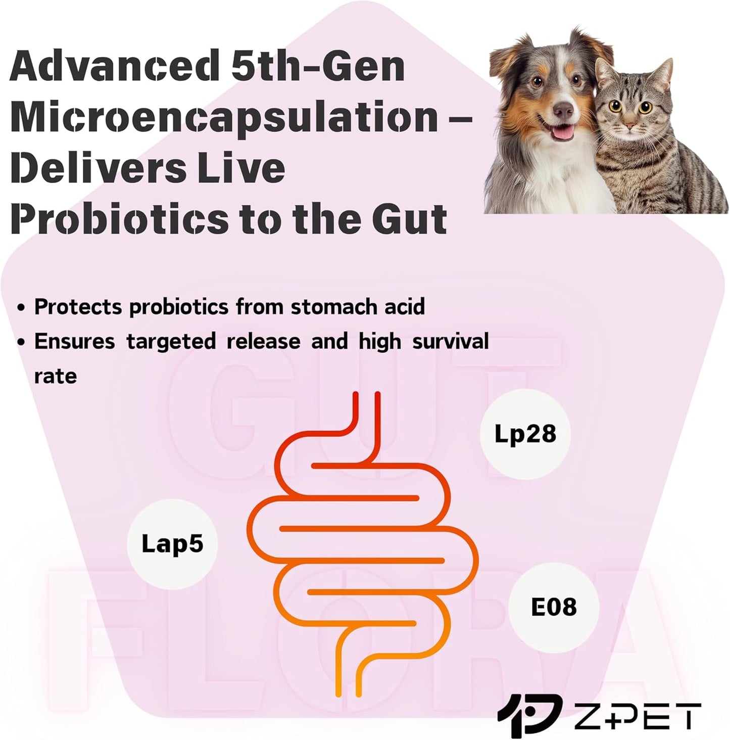 ZPET Probiotics Powder for Dogs & Cats – 5th-Gen Microencapsulation with 3 Patented Strains – Gut Health & Digestive Support – Helps with Diarrhea, Stool Odor & Appetite – 100g (5g×20 Piuches)