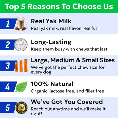 BARK&SPARK Yak Cheese Himalayan Dog Chews - 100% Natural & Long Lasting Dog Treats, Yak Milk Chews for Small, Medium & Large Dogs, Lactose & Gluten Free Dental Sticks, Healthy & Safe - Large (4 Chews)