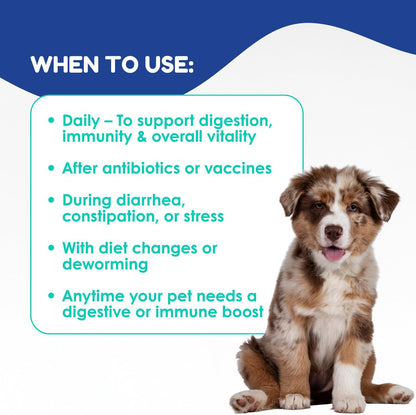 Prebiotic & Probiotic Dog Probiotic Paste, 6 Strains of Bacteria,18 Bi CFU's + Vitamins, Minerals- Upgraded Formula for Fast Balance GI, Dogs Probiotic Paste (14 g)