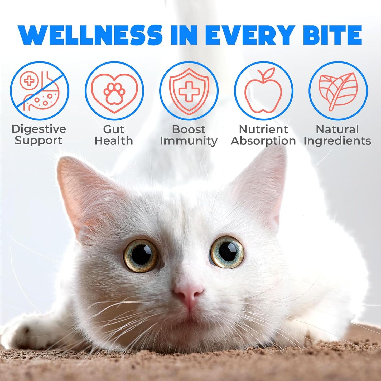 Probiotics for Cats Chews 200PCs - Digestive, Gut Health & Diarrhea Support - Probiotic Chews for Feline - Expert Approved US Formula with Cat Probiotics, Enzymes & Natural Ingredients - Salmon