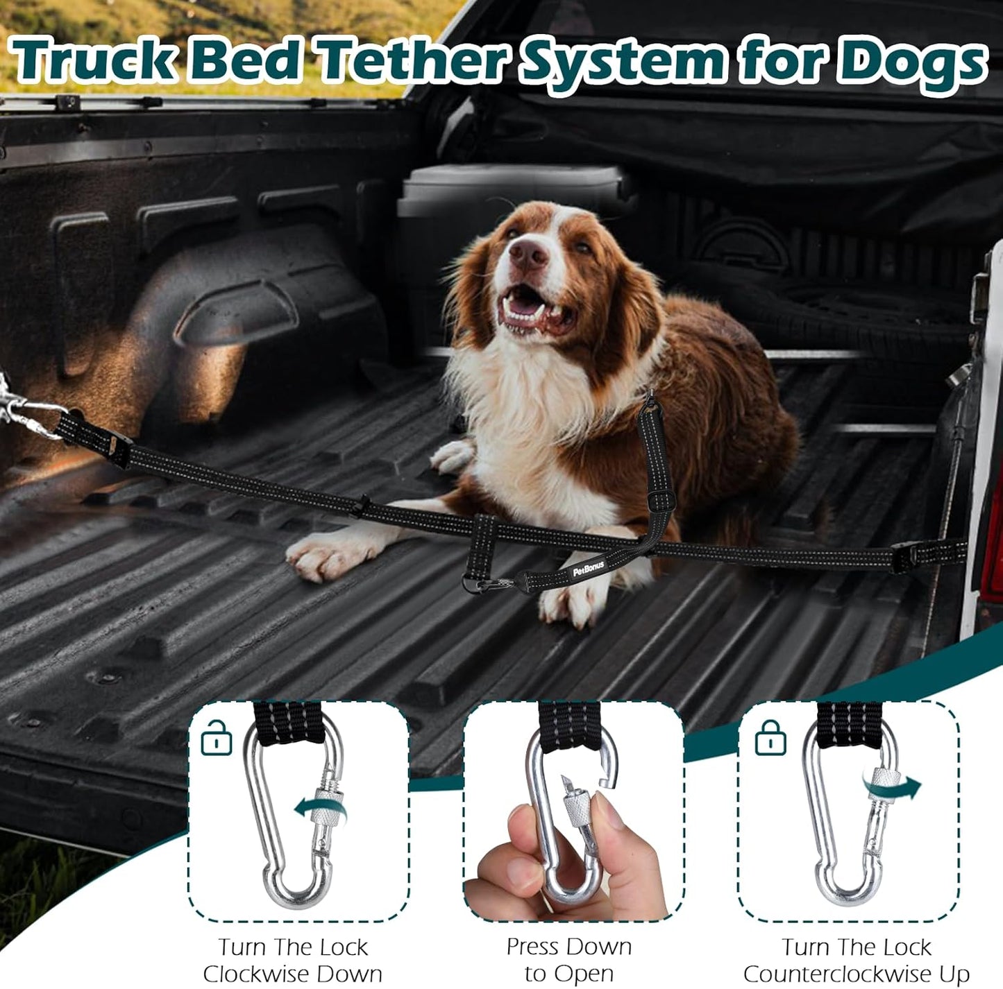 PetBonus Truck Bed Dog Leash, Dog Truck Tether Tie Down, Adjustable Safety Out Leash, Comfortable Pick-Up Bed Restraint Lead, Ratchet Tightening Pet Car Harness Belt, Single Lead (Black)