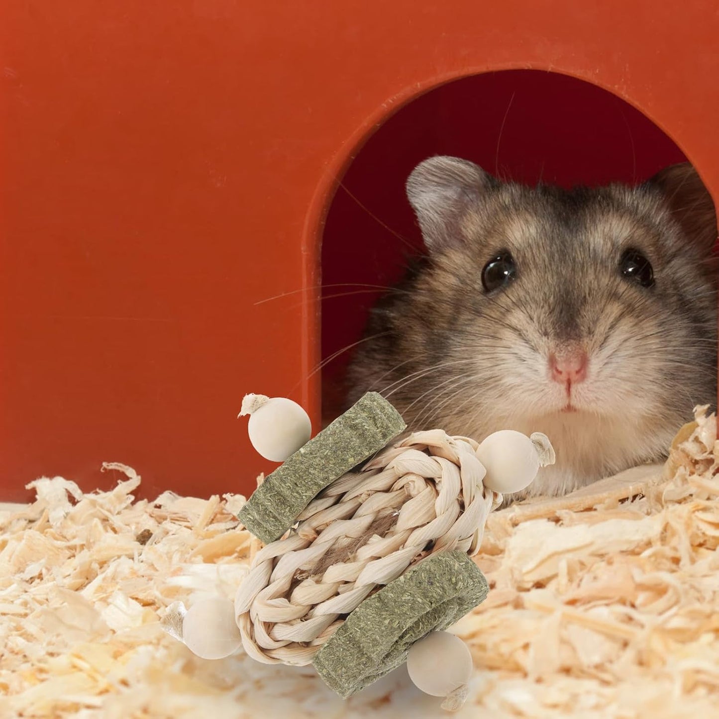 Hamster Guinea Pig Chew Healthy Teeth Chewing Snacks for Rabbits Small Pets Oral Biting Playthings Comforting Bunny Teething Treats in Bag