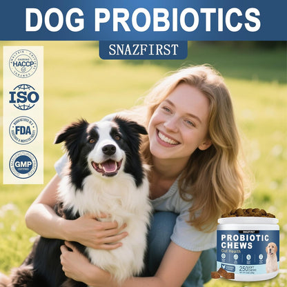 Probiotics for Dogs, Dog Probiotics Chews for Digestive Health & Gut Health, Improve Immune System,Constipation & Diarrhea Relief(Chicken Flavor, 250 Chews)
