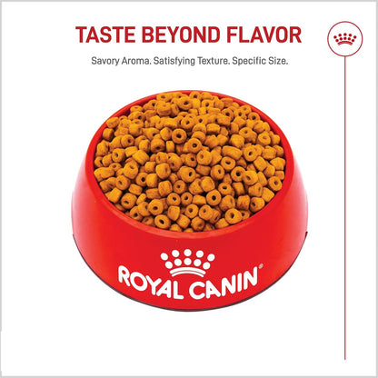 Royal Canin Breed Health Nutrition Labrador Retriever Puppy Dry Dog Food, 2.5 lb Bag