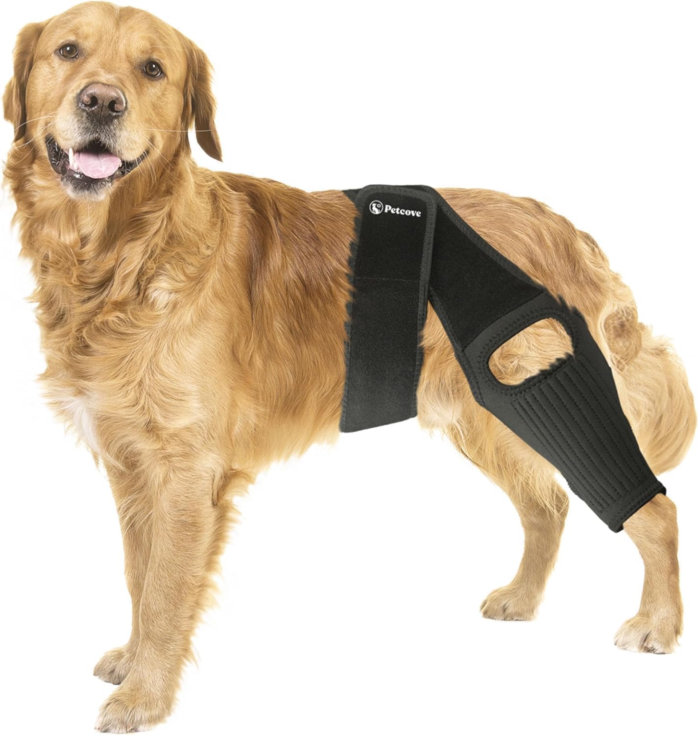 PetCove Dog Knee Brace for Torn Acl Hind Leg — Neoprene Compression, Spring Stabilizers, Belly Band Support Strap, Adjustable Velcro Fit, ACL/CCL, Arthritis, Front/Back Leg, Post-Surgery Recovery