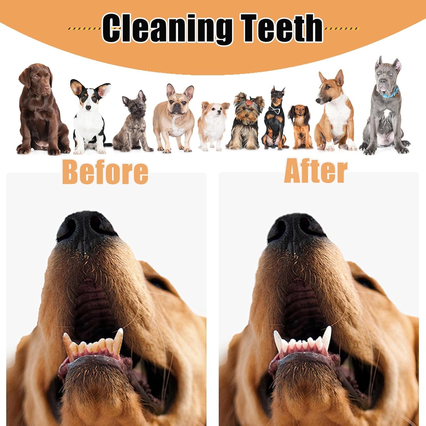 Dog Toothbrush Chew Toy Set, Corn-Shaped Dental Stick & Squeaky Ball for Small, Medium & Large Dogs, Teeth Cleaning, Chew Training, Stress Relief & Interactive Play (Blue)