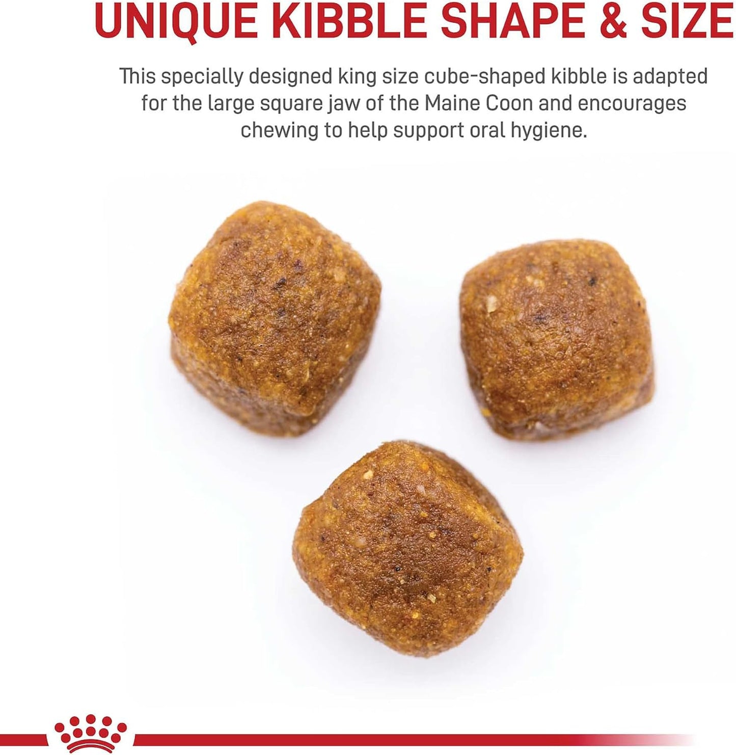 Royal Canin Feline Breed Nutrition Maine Coon Adult Dry Cat Food, 6 lb Bag