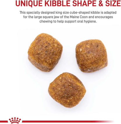 Royal Canin Feline Breed Nutrition Maine Coon Adult Dry Cat Food, 6 lb Bag