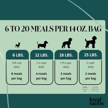 Freeze Dried Raw Dog Food - Premium Beef Flavor with High Protein and Grain Free Dog Food for Small or Large Breeds and Picky Eaters - Versatile as Meal Topper, Snack, and Treats, 5 Oz