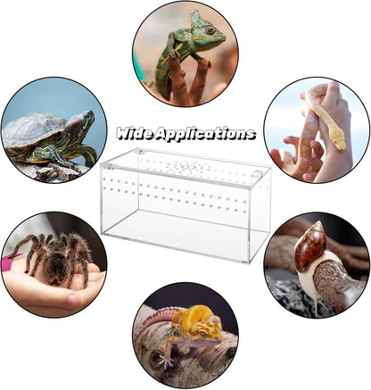 Acrylic Tarantula Enclosure Terrarium, 8" x 4" x 4" Small Magnetic Reptile Tank, Micro Spider Breeding Habitat Cage, Clear Ventilated Lizard Display Box for Hermit Crab Invertebrates Scorpion