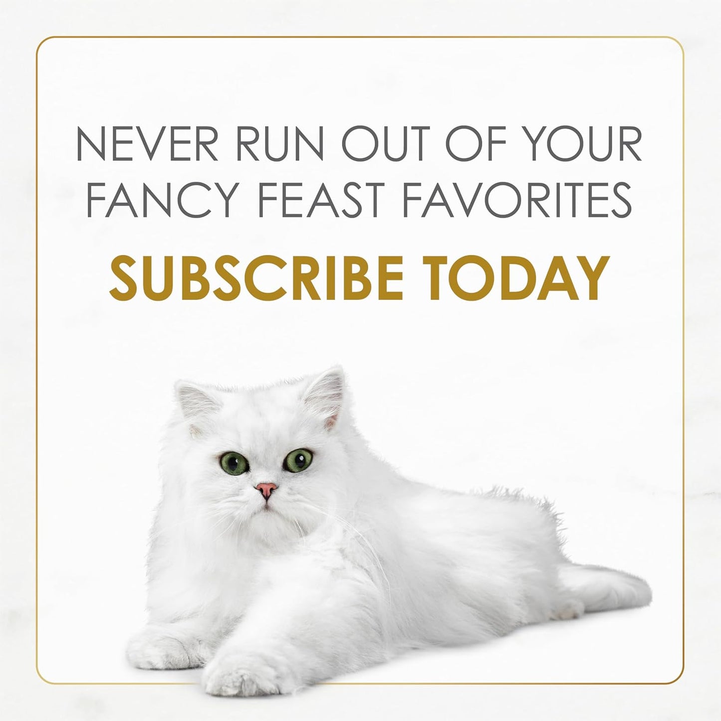 Purina Fancy Feast Dry Cat Food with Ocean Fish and Salmon - 3 lb. Bag