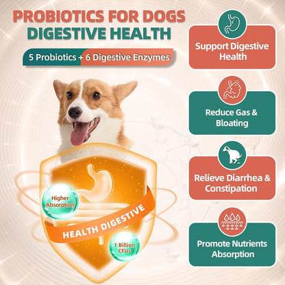 Dog Vitamins & Probiotics Supplements for Dogs