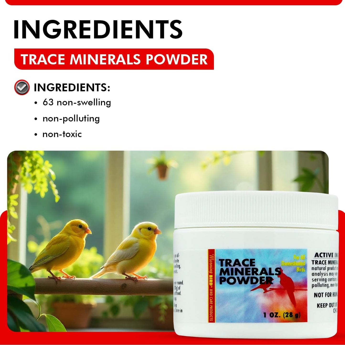 Morning Bird Trace Minerals Powder 1 Oz – Complete Mineral Supplement for Birds – Promotes Energy, Metabolism & Enzyme Activity – Easy to Mix for Daily Vitamin Support.
