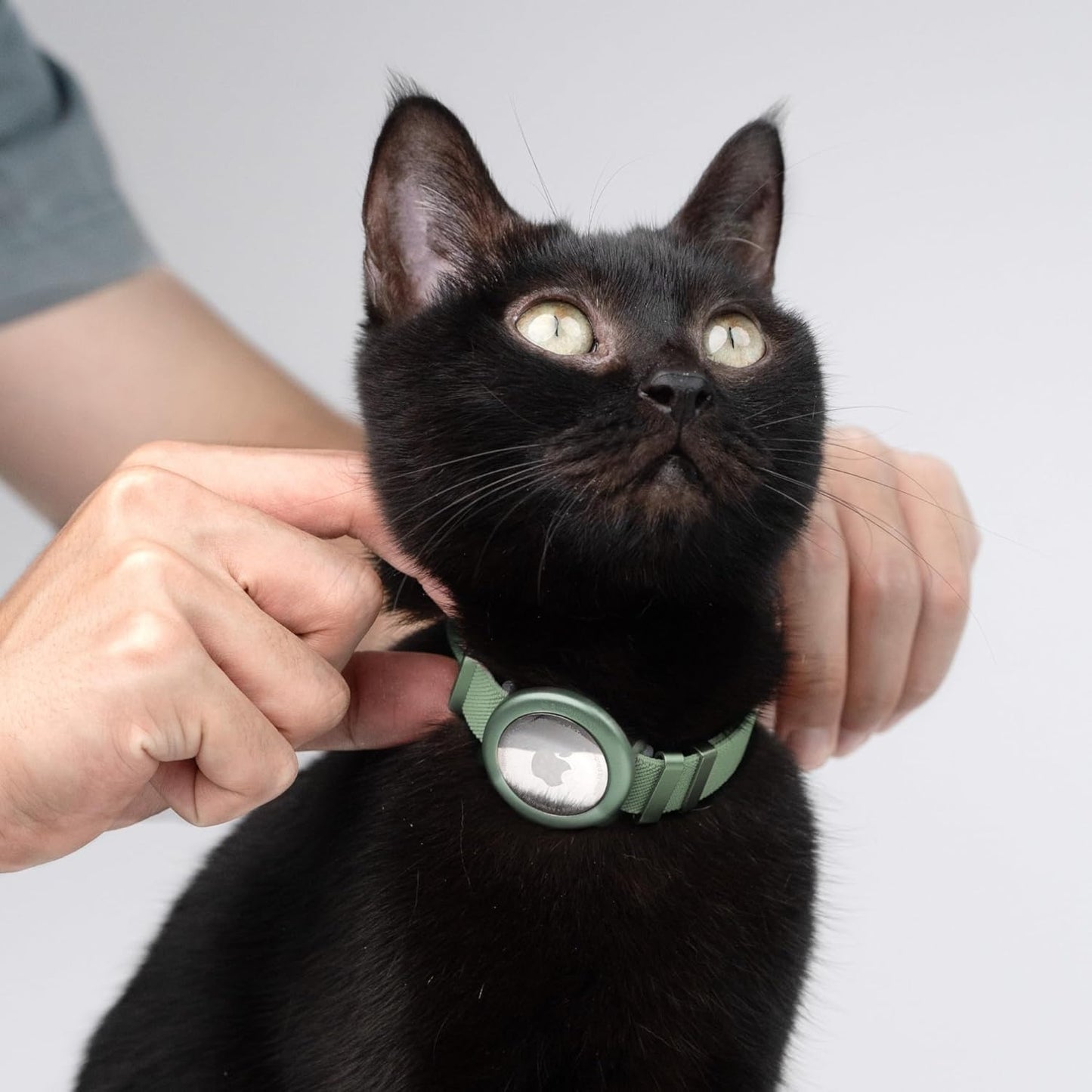 Cat Airtag Collar, US IDA Gold Award Cat Safety Collar Non Breakaway Elastic Airtag Collar Lightweight Airtag Holder Anodized Aluminium Case for Kitten Small to Large Cats,S(Gold Champagne)