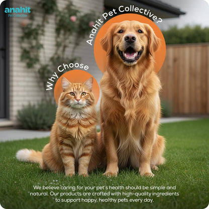 Fur Revive Pet Coat Treatment for Dogs and Cats with Sweet Almond Oil and Dead Sea Minerals – Softens Dry Fur, Enhances Shine, Smooth Texture, Lightweight Leave-in Grooming Care