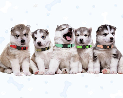 20 PCS Puppy Collars for Litter,Puppy Collars for Small Puppies,Nylon Breakaway ID Collar Whelping Litter Collars(S)