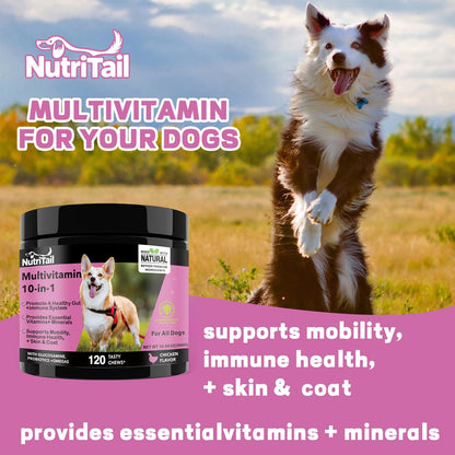 NutriTrail Multivitamin for Dogs – 10-in-1 Soft Chews with Glucosamine, Probiotics, Omega-3, Vitamins & Minerals – Supports Hip & Joint, Digestion, Skin & Coat, and Immune Health – Chicken, 120 Ct