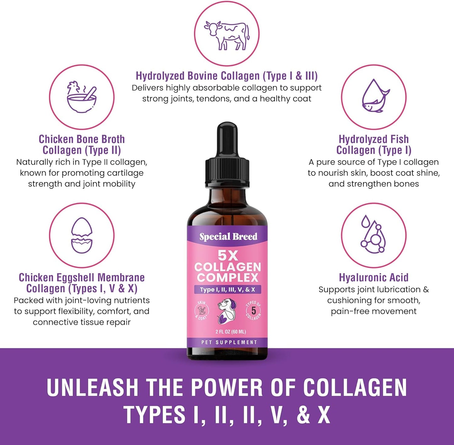 Premium Collagen for Dogs - Liquid Support for Joints, Skin, Coat, Bone, Immune System & HIPS - Collagen Supplement - Made in USA - 2oz
