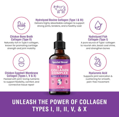 Premium Collagen for Dogs - Liquid Support for Joints, Skin, Coat, Bone, Immune System & HIPS - Collagen Supplement - Made in USA - 2oz