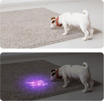 COSOOS Black Light UV Flashlight, 21 LED Handheld UV Light, 395nm Mini Blacklight Flashlight, Portable Pet Urine Detector for Dog Cat Urine Stains, Bed Bugs, Scorpion, Resin Curing, Nails