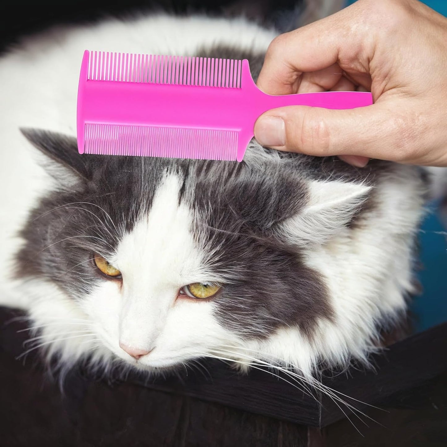 6pcs Double Sided Fine Tooth Lice Comb with Handle, Dandruff and Lice Pet Flea Comb for Newborn Babies Adults Pets Dogs Kitten Cats (Plastic, 6 Colors)