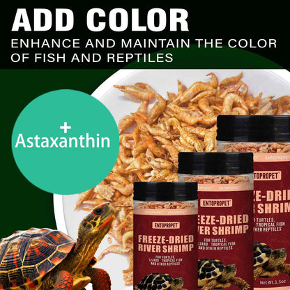 Freeze-Dried River Shrimp – Premium Turtle Food, Reptile & Bird Treat – High-Protein Shrimp for Turtles, Aquatic Pets, Tropical Fish, 1.5 oz