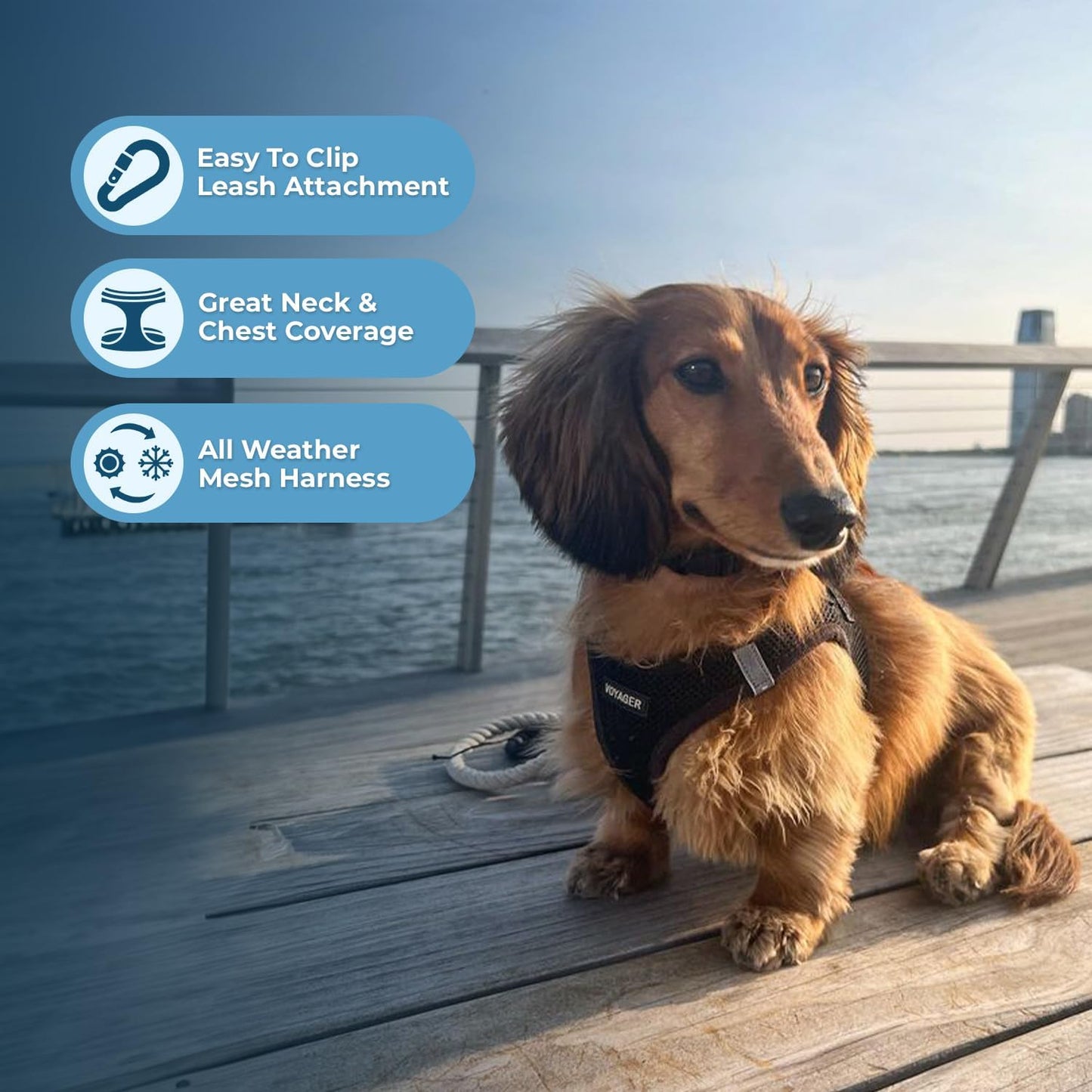 Best Pet Supplies - All Weather Mesh / Plush, Reflective, No Pull Harness for Small, Medium Dogs, Cats - Secure with Hook & Loop Fastener, Buckle, Double D-Rings - Black/Black Trim, M