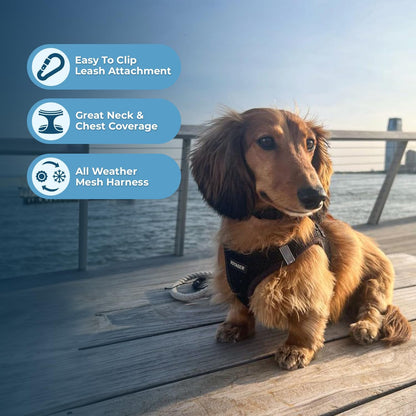 Best Pet Supplies Voyager Step-in Air Harness - All Weather Mesh, Reflective, No Pull Harness for Dogs, Cats - Secure with Hook & Loop Fastener, Buckle, Double D-Rings - Black, S