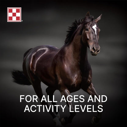 Purina | Amplify High-Fat Horse Supplement (10 LB) Bag