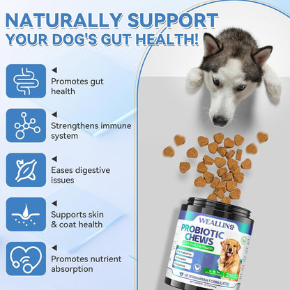 200 PCS Probiotics for Dogs - Dog Probiotic Chews for Gut Health, Digestive Support & Itchy Skin Relief Pet Diarrhea Gas Treatment - Probiotics, Digestive Enzymes, Prebiotics, Pumpkin