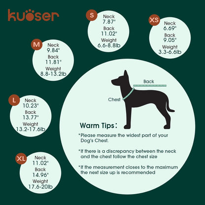 Kuoser Surgical Recovery Suit for Dogs Cats, Pet T-Shirt After Surgery Wear for Dogs, Dog Professional Recovery Suit Comfortable E Collar Alternative, Prevent Licking Onesies Pet Surgery Recovery Suit