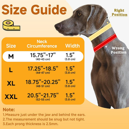 Mayerzon Martingale No Pull Collar for Medium Large Dogs, Walking Training Collar for Dogs German Shepherd Boxer Rottweiler That Pull, Reflective, with 360° Swivel Ring and Release Buckle(M, Black)