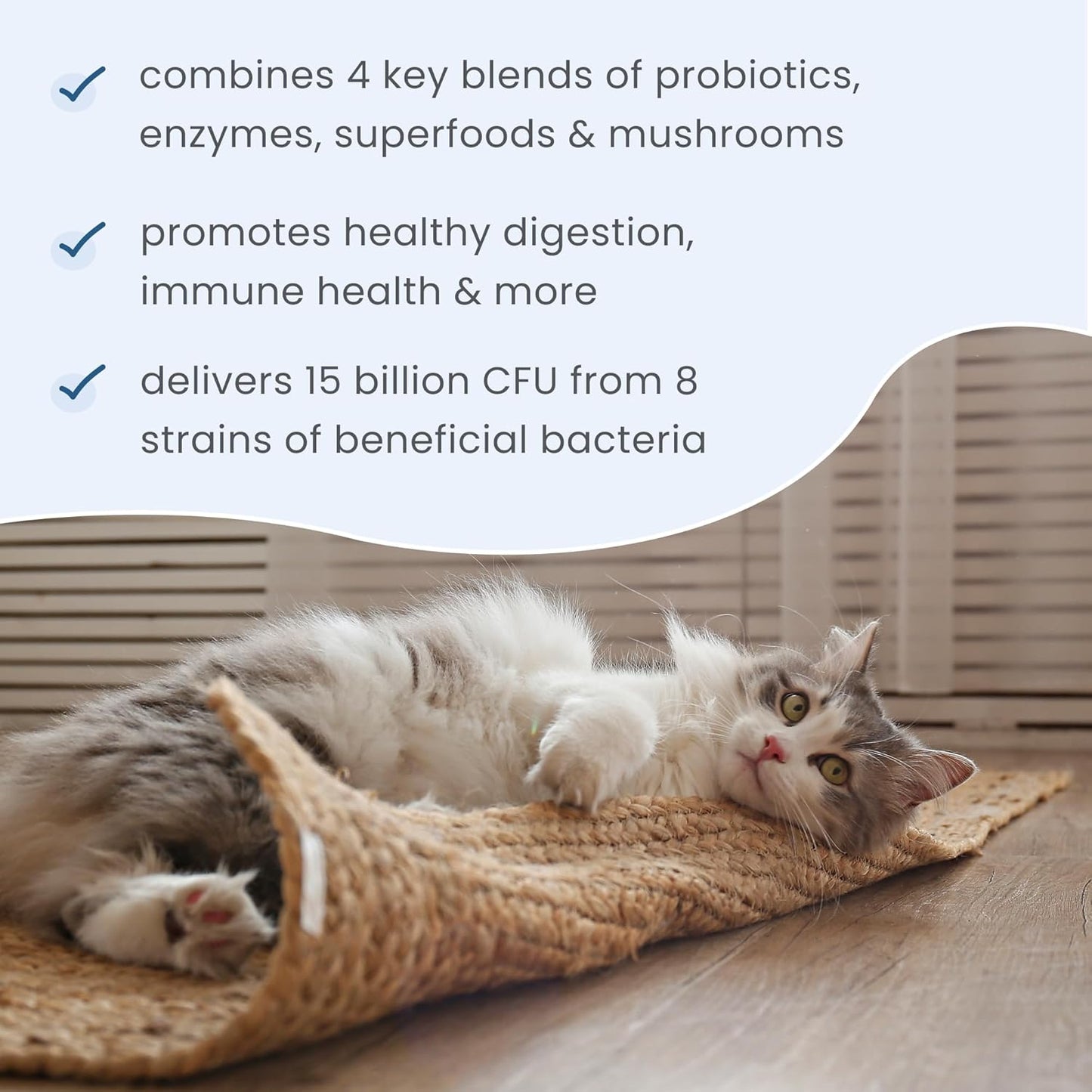 Bark & Whiskers Probiotics + Enzymes - Supports Digestive Health & Immune System - Probiotic Supplement for Cats & Dogs - 60 Scoops