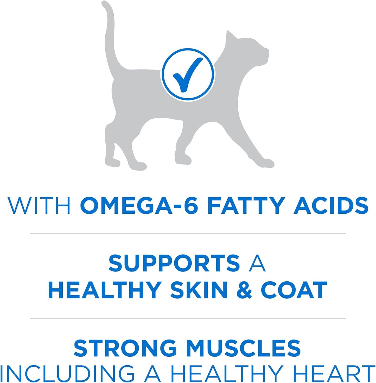 Purina ONE Plus High Protein Cat Food Dry Salmon and Ocean Whitefish Cat Skin and Coat Health Formula - 7 lb. Bag