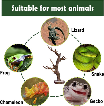 BNOSDM Reptile Grapevine Wood Decoration, Wooden Climb Tree Branch Decor, Grape Wood Branches for Leopard Gecko Lizard Frog Snake