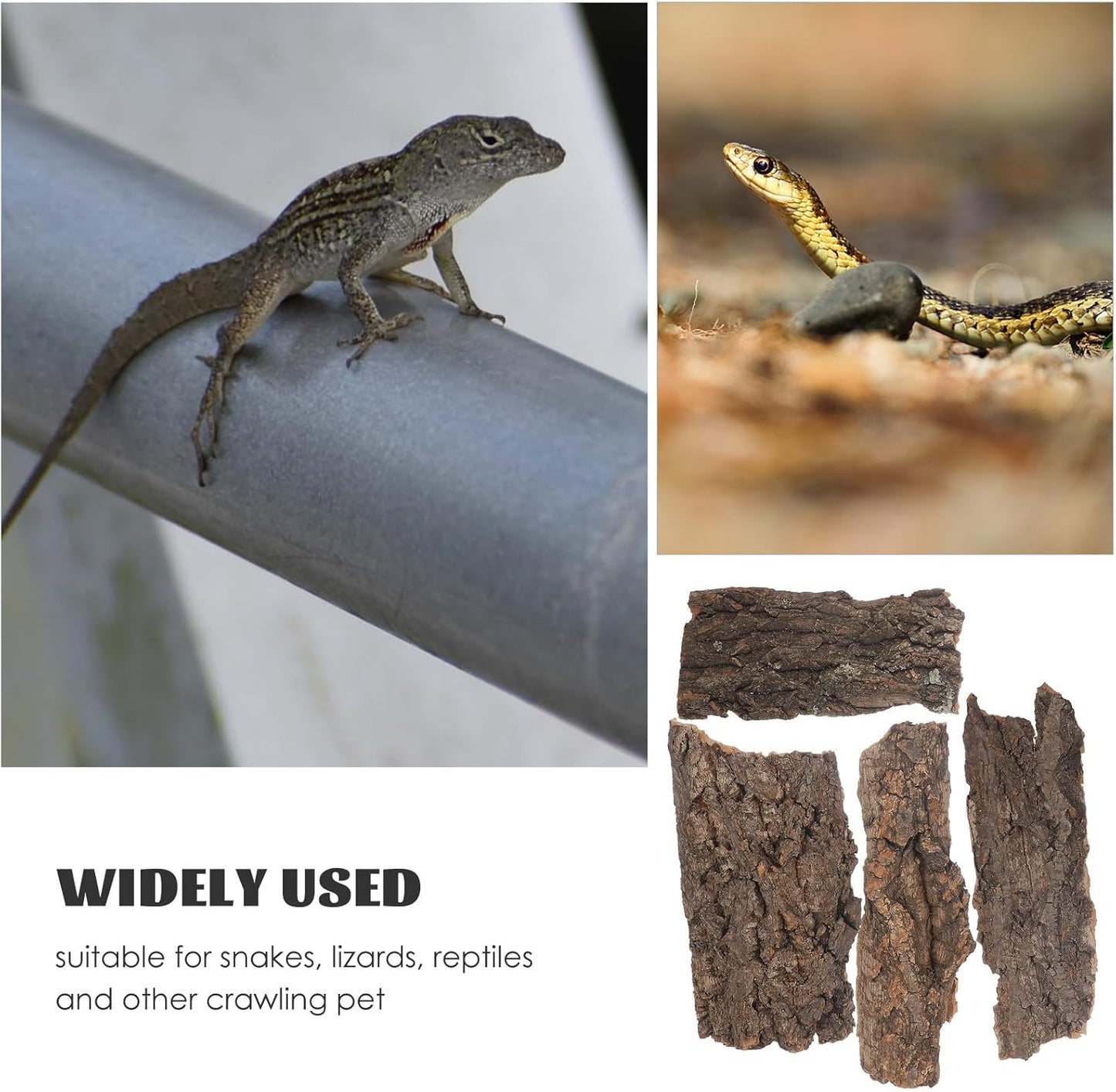 YARNOW 4 Pcs Reptile Bark Cork, Random Shape, 3. 1 to 5. 5 Inch, Wood Bark for Tortoise, Lizard, Gecko, Bearded Dragon, Chameleons