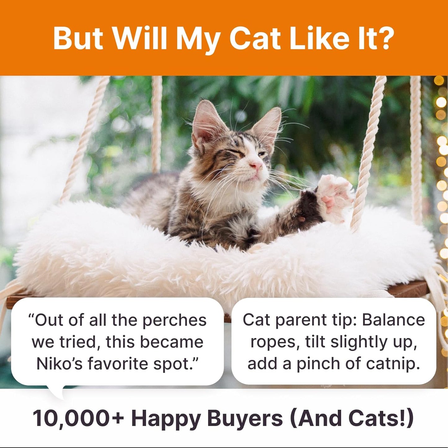 Cat Hammock with Industrial-Grade Suction Cups - Solid Pine Wood Seat, Soft Cushion - 42 lb Capacity