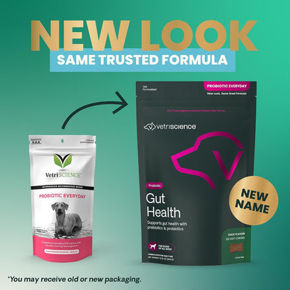 VetriScience Gut Health Chews, Probiotic Everyday Digestive Supplement for Dogs, Pet Probiotics for Digestion Support, Gas and Diarrhea, Immune Support, 1 Billion CFU Per Chew, Duck, 120 Count