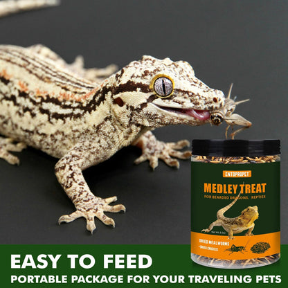 Dried Mealworms and Dried Crickets - Higher in Calcium and Richer in Protein-A Premium Medley Treat Food for Bearded Dragons,Turtle, Birds & Tropical Fish, 3oz