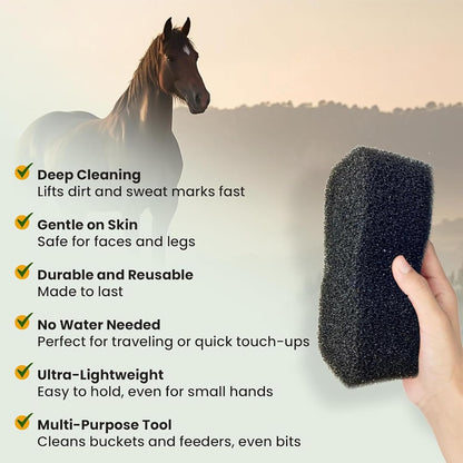 Equine Grooming Brush, Livestock Care Sponge, 9.06x4.33x1.77 Inches Massage Tools with Firm Grip, Rubber Handle Cleaning Bristles, Stable Farm Style Groomer, Horse Accessory for Outdoor and Pet Cares