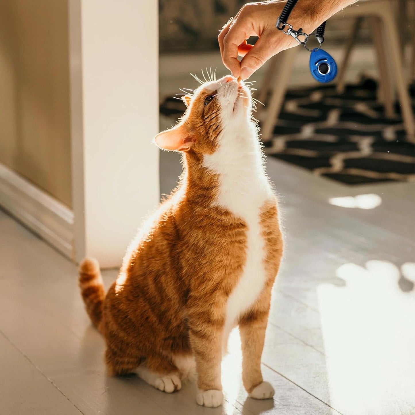 ABSONE Dog Clicker for Training with Wrist Strap, Training Clicker for Puppy, Cat, Potty, Bird, Horse, Pet, Dog Clicker Trainer Training Tools, Behavior Aids, 2 Pack Black and Green