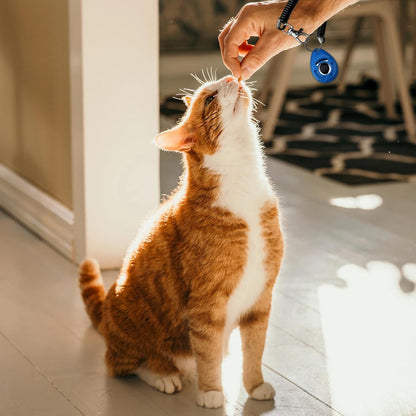 ABSONE Dog Clicker for Training with Wrist Strap, Training Clicker for Puppy, Cat, Potty, Bird, Horse, Pet, Dog Clicker Trainer Training Tools, Behavior Aids, 2 Pack Black and Green