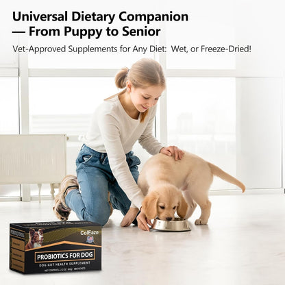 Probiotic Powder for Dogs, Dog Probiotics for Digestive & Immune Support Gut Health Gas Relief & Diarrhea for All Ages & Breeds 60Ct. Box