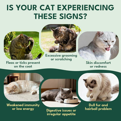 YOTANGO Cat Flea Treatment Crunchy & Creamy Chewables, 500 Chews Natural Flea and Tick Prevention for Cats + Skin and Coat Support, Daily Oral Supplement Chewables for Cats and Kittens (Salmon Flavor)