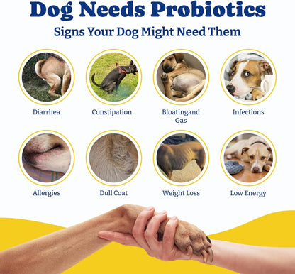 Probiotics for Dogs - Dog Probiotics for Digestive Health, Yeast, Itchy Skin, Gut Health, Immune & Skin+Dog Teeth Cleaning Wipes, Pet Finger Dental Wipes for Dogs & Cats, Dual-Sided, 6-in-1 Herbal For