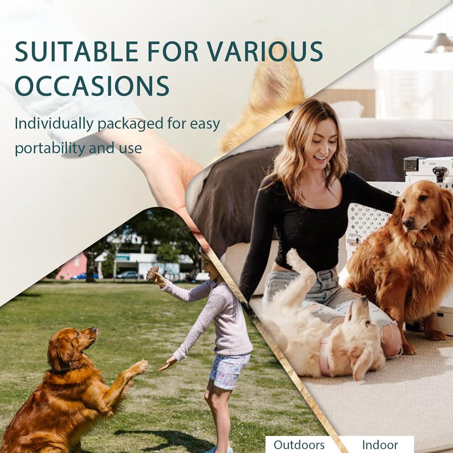 WLP Pet Glove Wipes for Dogs & Cats, Individually Wrapped Cleaning Deodorizing Hypoallergenic Hydrating Grooming Wipes, Enriched with Aloe & Jojoba Oil for Daily Care, Traveling (6 PCS)