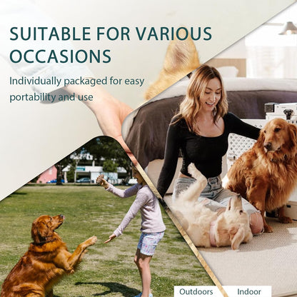 WLP Pet Glove Wipes for Dogs & Cats, Individually Wrapped Cleaning Deodorizing Hypoallergenic Hydrating Grooming Wipes, Enriched with Aloe & Jojoba Oil for Daily Care, Traveling (6 PCS)